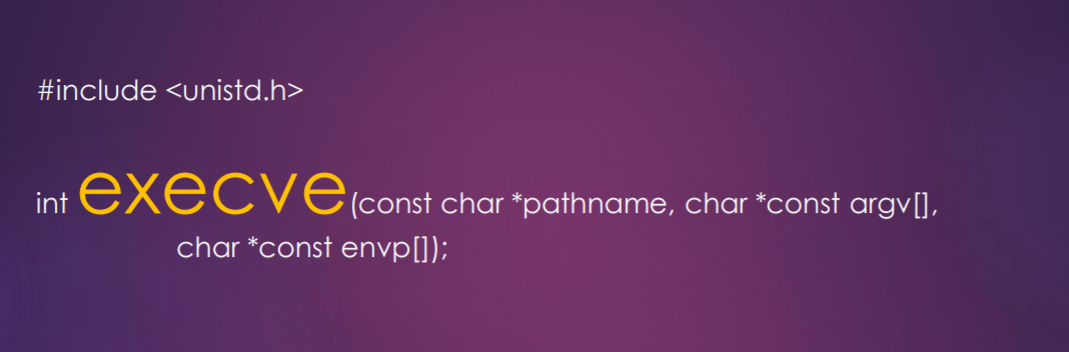 image-20211015080253394